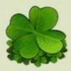Символ игрового автомата Lucky Lady's Charm Клевер